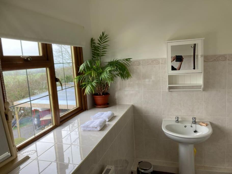 Llanfair Caereinion Bryntirion Farmhouse Rooms מראה חיצוני תמונה